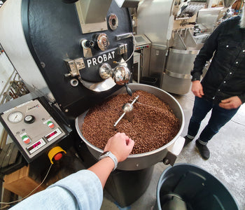 What Are The New Coffee Roasters Trends?